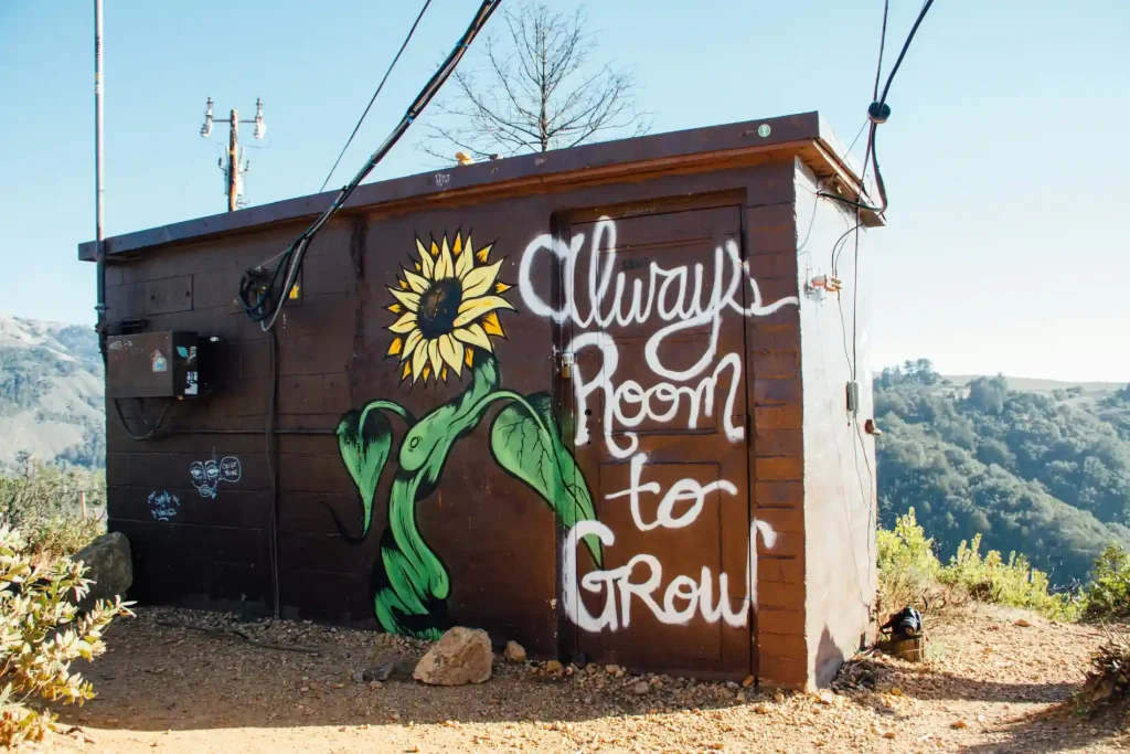 A container on top of a mountain  with a sunflower and the phrase  always room to grow  written on the side