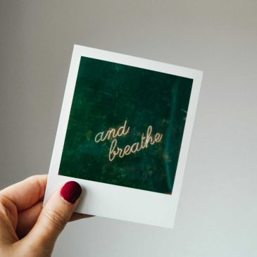 The Science of Breathing: Transform Your Mind and Body with Every Breath